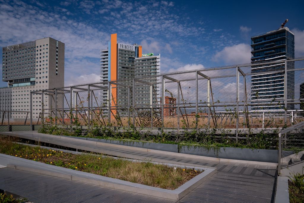 Vista del Terrat Viu del Museu Blau i al fons, els edificis de la zona del Fòrum
