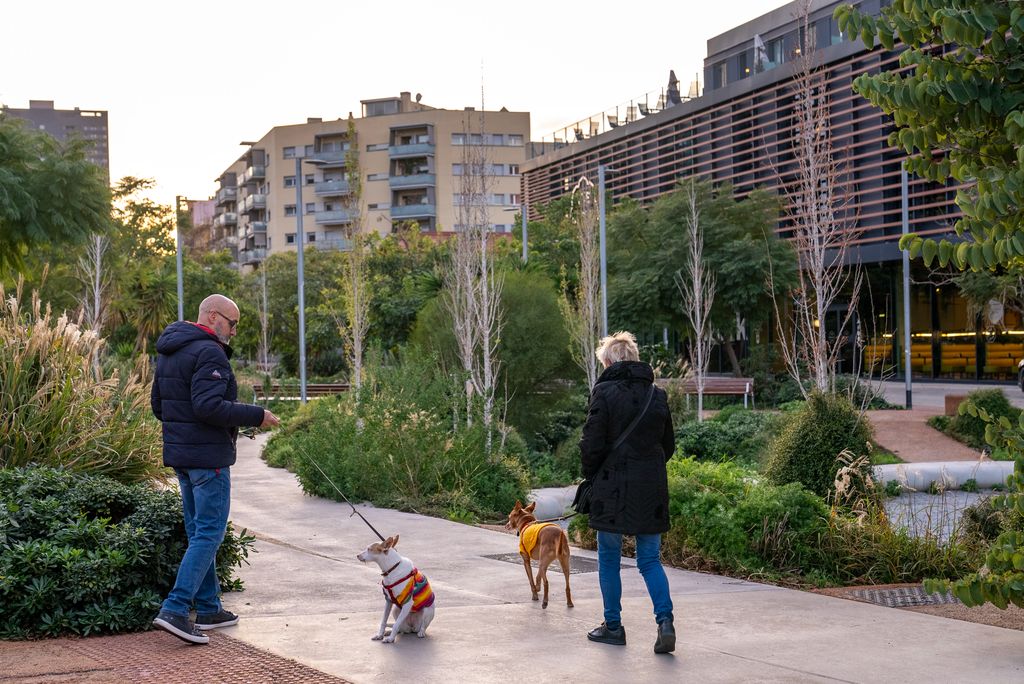 Peatones pasean el perro por el eje de la calle Cristóbal de Moura.