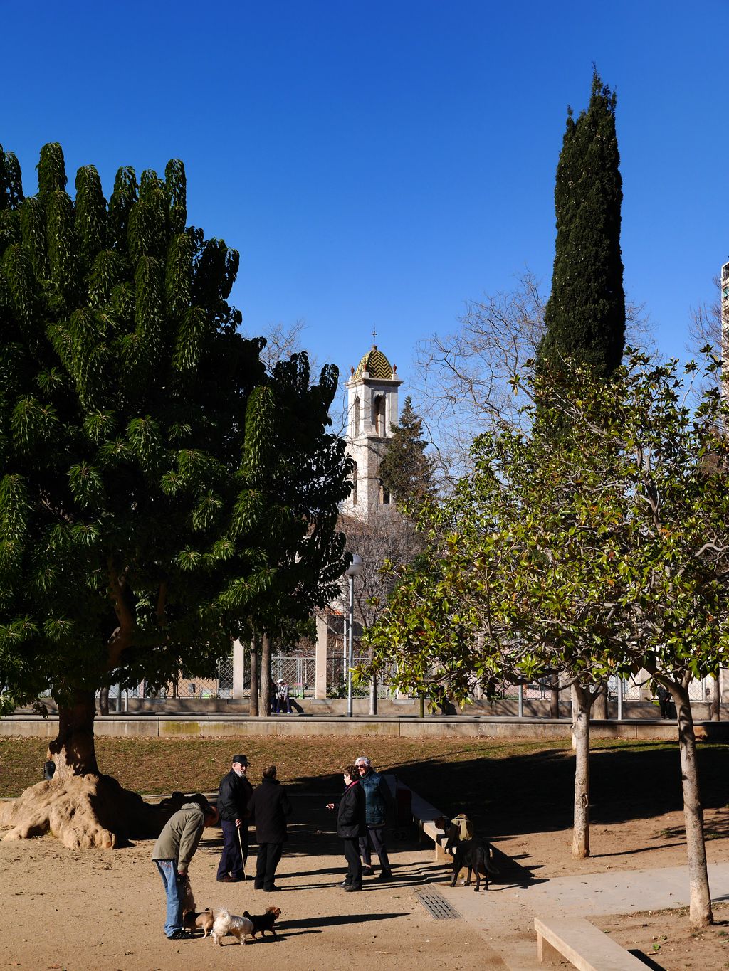 Gent gran al parc de Sant Martí
