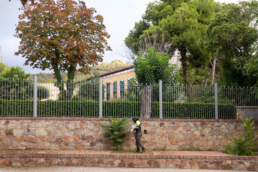 Pla general d’una zona enjardinada on una jardinera de l’equip de neteja talla amb un tallagespa elèctric la gespa al voltant d’una planta.