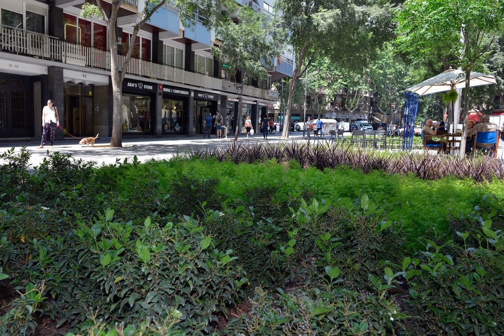 Zona pacificada de la superilla de Sant Antoni al carrer del Comte Borrell amb parterres i bancs on els veïns aprofiten per seure a descansar i conversar. Al voltant, la gent va caminant i fent les seves compres o prenent alguna cosa en una terrassa