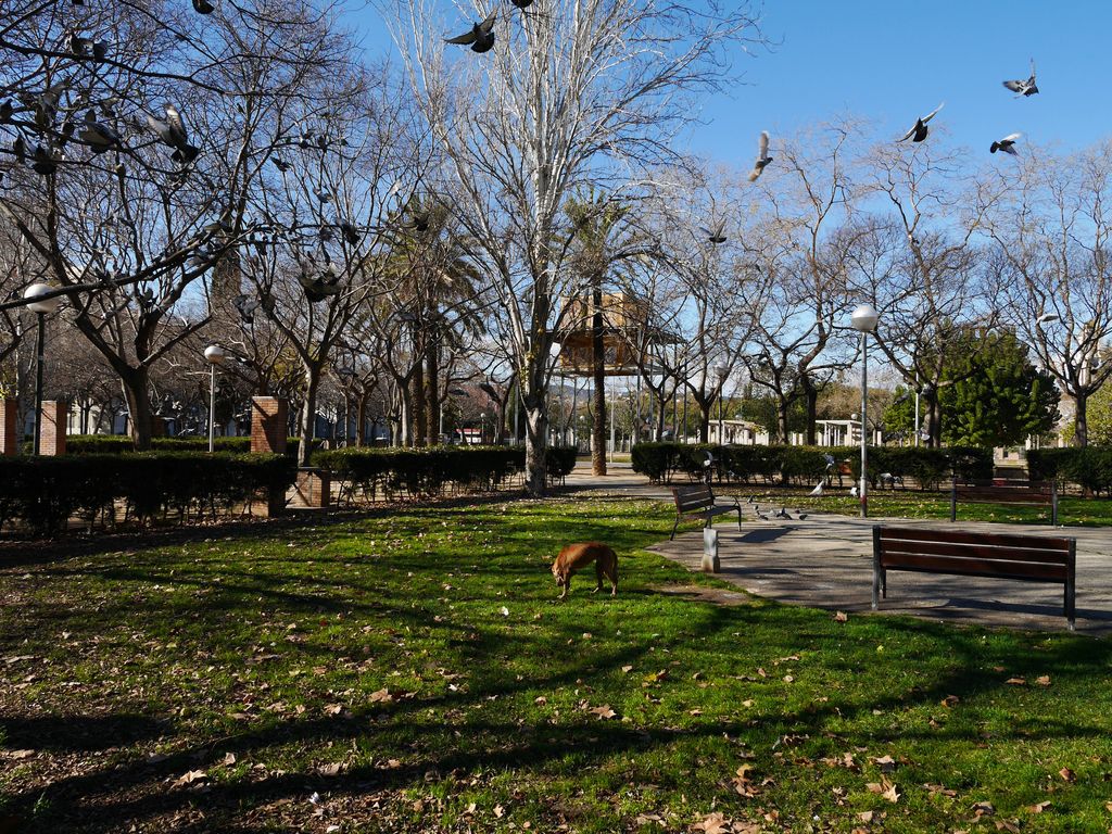 Parc de Sant Martí