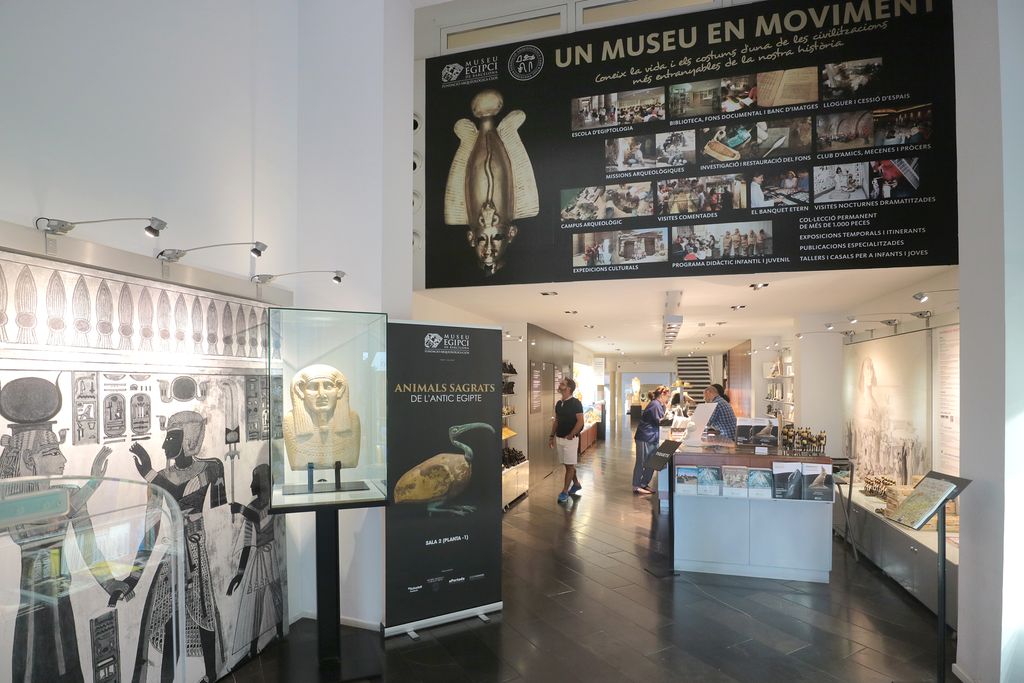 Museu Egipci. Exposició de la col·lecció