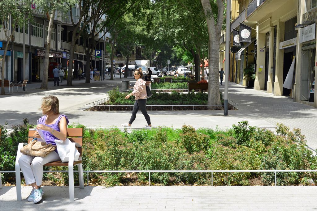 Carrer del Comte Borrell a la superilla de Sant Antoni, amb grans parterres o escocells en un lateral i amb bancs, on hi ha asseguda una dona