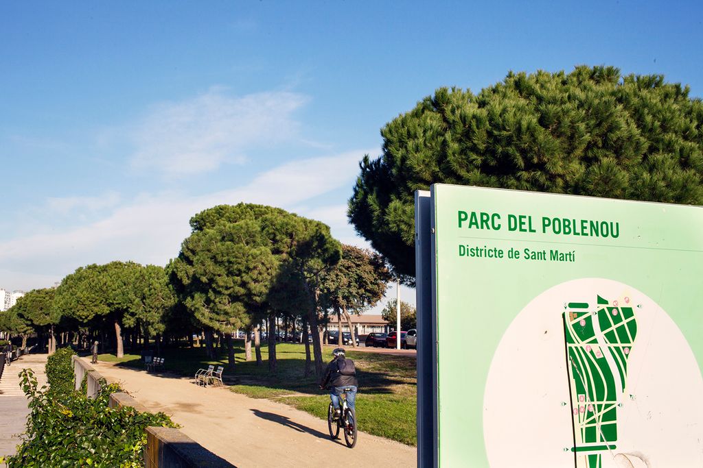 Ciclista per un camí del Parc del Poblenou