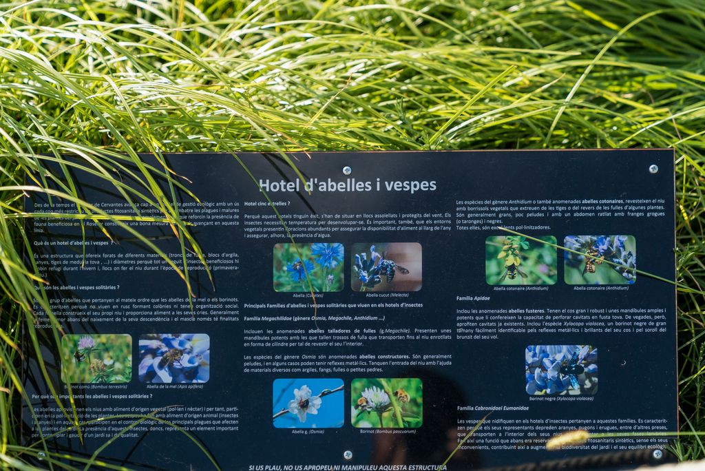 Panell informatiu sobre l'Hotel de vespes i d'abelles