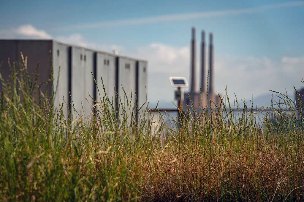 Detall de les plantes del Terrat Viu del Museu Blau i al fons la central tèrmica de Sant Adrià
