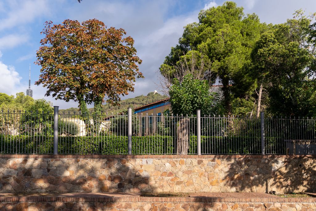 Pla general d’una zona enjardinada després d’haver-s’hi tallat la gespa.
