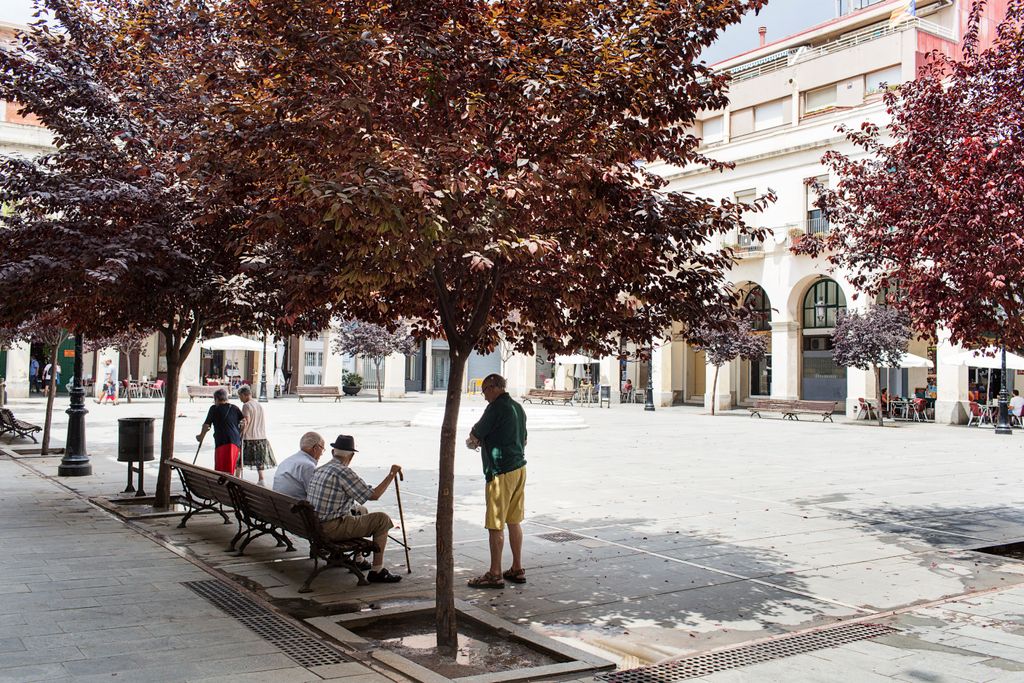 Gent gran asseguda a l'ombra dels arbres de la Plaça de Masadas