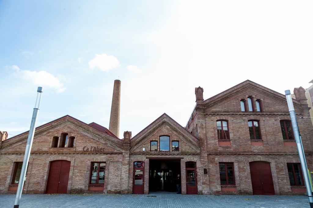 Façana principal de Ca l'Alier