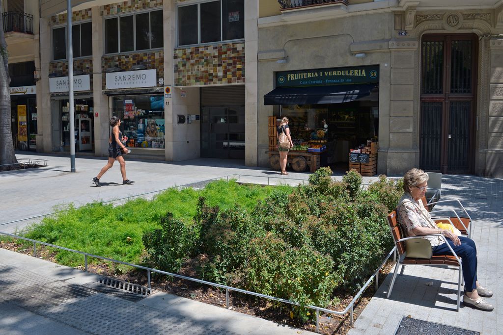 Zona pacificada de la superilla de Sant Antoni al carrer del Comte Borrell amb parterres i bancs on una de les veïnes seu per gaudir del sol