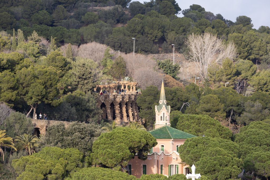 Vista general del bosque del Park Güell durante la sequía, con las copas de los árboles marrones.