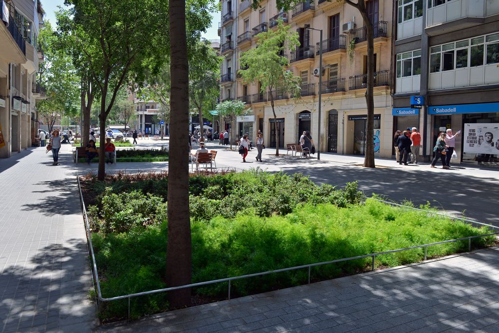 Zona pacificada de la superilla de Sant Antoni al carrer del Comte Borrell, amb parterres o escocells amb arbres i flors i bancs on els veïns aprofiten per seure a descansar i conversar. Al voltant, la gent va caminant i fent les seves compres