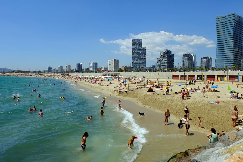 <div class='imageHoverDetail'>
             <p class='imageHoverTitle twoLineBreak'>Platja de Llevant amb gossos. Àrea per a banyistes acompanyats de gossos</p>
             <p class='imageHoverAutor oneLineBreak'>Autor: Vicente Zambrano González</p>
             <button class='imageHoverBtn'>Mostra els detalls de la imatge <span class='sr-only'>Platja de Llevant amb gossos. Àrea per a banyistes acompanyats de gossos</span></button>
             </div>