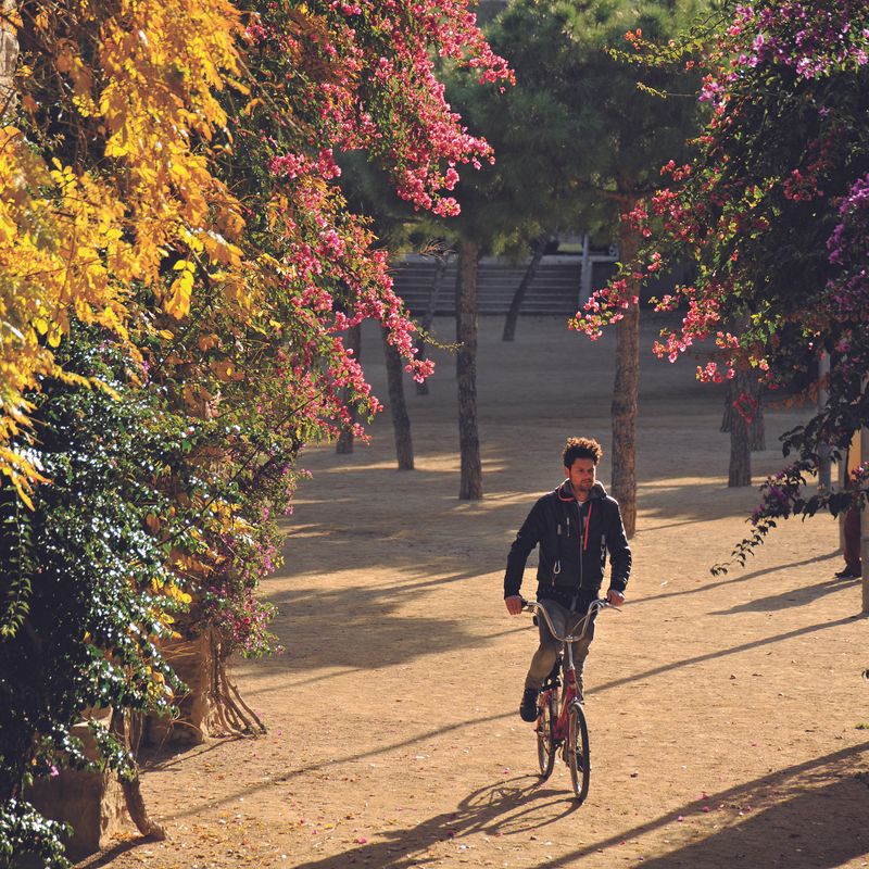 <div class='imageHoverDetail'>
             <p class='imageHoverTitle twoLineBreak'>Parc de Joan Miró. Ciclista</p>
             <p class='imageHoverAutor oneLineBreak'>Autor: Antonio Lajusticia Bueno</p>
             <button class='imageHoverBtn'>Mostra els detalls de la imatge <span class='sr-only'>Parc de Joan Miró. Ciclista</span></button>
             </div>