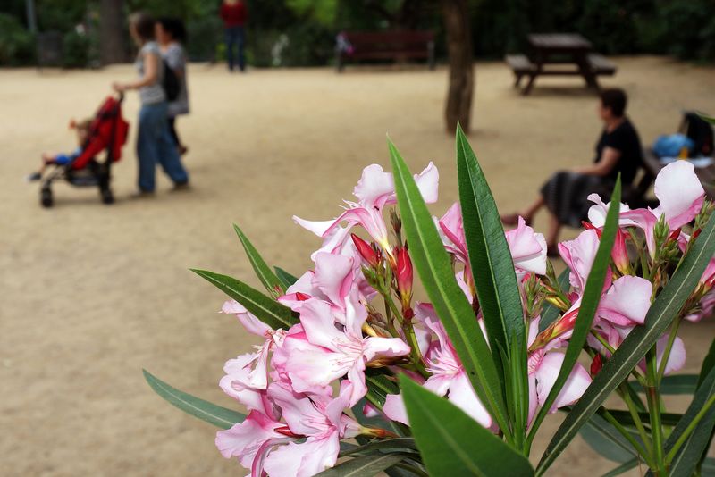 <div class='imageHoverDetail'>
             <p class='imageHoverTitle twoLineBreak'>Parc del Guinardó. Flors</p>
             <p class='imageHoverAutor oneLineBreak'>Autor: Vicente Zambrano González</p>
             <button class='imageHoverBtn'>Mostra els detalls de la imatge <span class='sr-only'>Parc del Guinardó. Flors</span></button>
             </div>