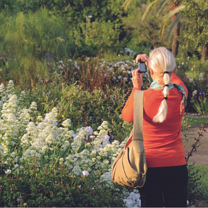 <div class='imageHoverDetail'>
             <p class='imageHoverTitle twoLineBreak'>Parc de Cervantes. Dona fotografiant plantes</p>
             <p class='imageHoverAutor oneLineBreak'>Autor: Antonio Lajusticia Bueno</p>
             <button class='imageHoverBtn'>Mostra els detalls de la imatge <span class='sr-only'>Parc de Cervantes. Dona fotografiant plantes</span></button>
             </div>