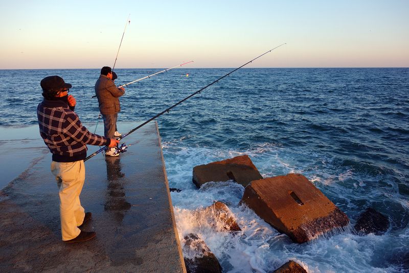 <div class='imageHoverDetail'>
             <p class='imageHoverTitle twoLineBreak'>Pescadors a la Barceloneta</p>
             <p class='imageHoverAutor oneLineBreak'>Autor: Vicente Zambrano González</p>
             <button class='imageHoverBtn'>Mostra els detalls de la imatge <span class='sr-only'>Pescadors a la Barceloneta</span></button>
             </div>