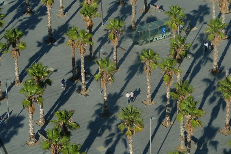 <div class='imageHoverDetail'>
             <p class='imageHoverTitle twoLineBreak'>Parc de la platja de Sant Sebastià. Palmeres</p>
             <p class='imageHoverAutor oneLineBreak'>Autor: Vicente Zambrano González</p>
             <button class='imageHoverBtn'>Mostra els detalls de la imatge <span class='sr-only'>Parc de la platja de Sant Sebastià. Palmeres</span></button>
             </div>