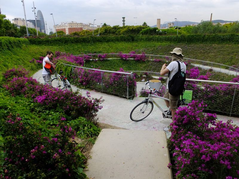 <div class='imageHoverDetail'>
             <p class='imageHoverTitle twoLineBreak'>Parc del Centre del Poblenou. Espiral amb vegetació</p>
             <p class='imageHoverAutor oneLineBreak'>Autor: Vicente Zambrano González</p>
             <button class='imageHoverBtn'>Mostra els detalls de la imatge <span class='sr-only'>Parc del Centre del Poblenou. Espiral amb vegetació</span></button>
             </div>