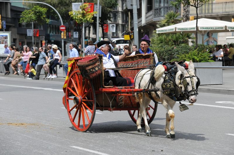 <div class='imageHoverDetail'>
             <p class='imageHoverTitle twoLineBreak'>17a Trobada Nacional de Tres Tombs. Desfilada pel carrer de Pelai</p>
             <p class='imageHoverAutor oneLineBreak'>Autor: Antonio Lajusticia Bueno</p>
             <button class='imageHoverBtn'>Mostra els detalls de la imatge <span class='sr-only'>17a Trobada Nacional de Tres Tombs. Desfilada pel carrer de Pelai</span></button>
             </div>