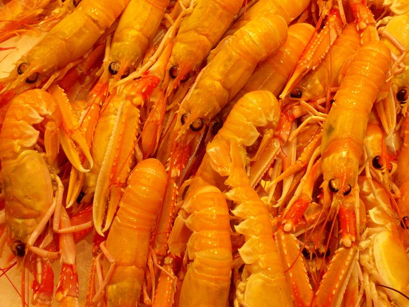 <div class='imageHoverDetail'>
             <p class='imageHoverTitle twoLineBreak'>Parada de marisc al Mercat de la Boqueria</p>
             <p class='imageHoverAutor oneLineBreak'>Autor: Vicente Zambrano González</p>
             <button class='imageHoverBtn'>Mostra els detalls de la imatge <span class='sr-only'>Parada de marisc al Mercat de la Boqueria</span></button>
             </div>