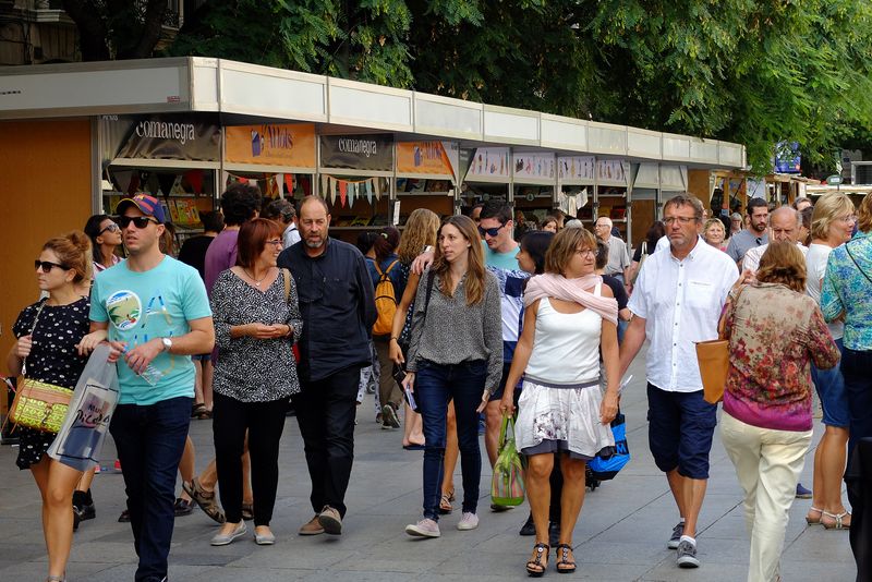 <div class='imageHoverDetail'>
             <p class='imageHoverTitle twoLineBreak'>Setmana del Llibre en Català. Visitants voltant per les parades</p>
             <p class='imageHoverAutor oneLineBreak'>Autor: Vicente Zambrano González</p>
             <button class='imageHoverBtn'>Mostra els detalls de la imatge <span class='sr-only'>Setmana del Llibre en Català. Visitants voltant per les parades</span></button>
             </div>