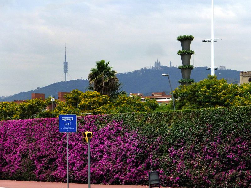 <div class='imageHoverDetail'>
             <p class='imageHoverTitle twoLineBreak'>Parc del Centre del Poblenou. Murs vegetals</p>
             <p class='imageHoverAutor oneLineBreak'>Autor: Vicente Zambrano González</p>
             <button class='imageHoverBtn'>Mostra els detalls de la imatge <span class='sr-only'>Parc del Centre del Poblenou. Murs vegetals</span></button>
             </div>