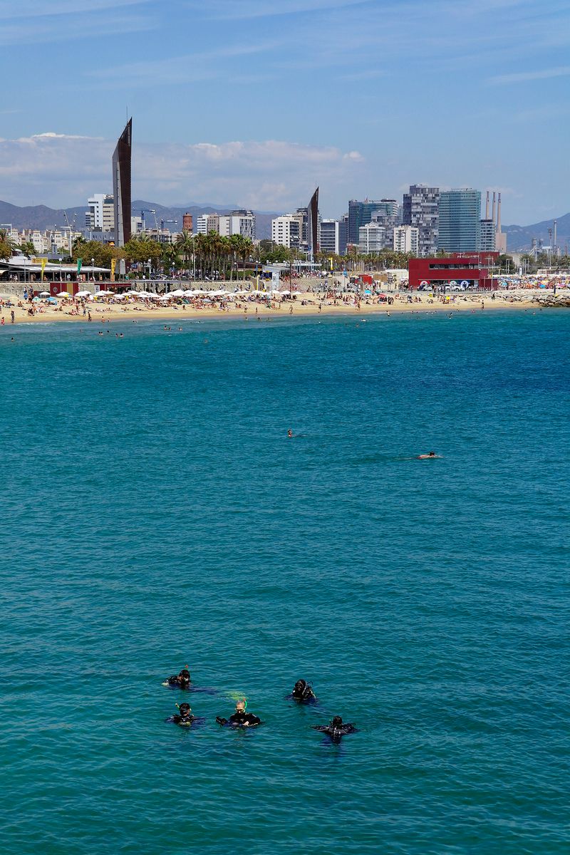 <div class='imageHoverDetail'>
             <p class='imageHoverTitle twoLineBreak'>Platja de la Nova Icària. Grup de submarinistes</p>
             <p class='imageHoverAutor oneLineBreak'>Autor: Vicente Zambrano González</p>
             <button class='imageHoverBtn'>Mostra els detalls de la imatge <span class='sr-only'>Platja de la Nova Icària. Grup de submarinistes</span></button>
             </div>