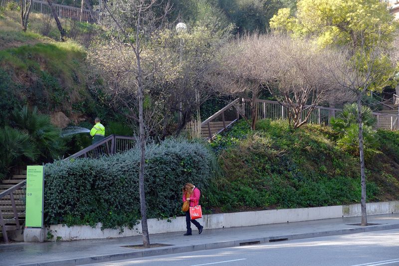 <div class='imageHoverDetail'>
             <p class='imageHoverTitle twoLineBreak'>Jardins de Mercè Rodoreda. Accés</p>
             <p class='imageHoverAutor oneLineBreak'>Autor: Vicente Zambrano González</p>
             <button class='imageHoverBtn'>Mostra els detalls de la imatge <span class='sr-only'>Jardins de Mercè Rodoreda. Accés</span></button>
             </div>