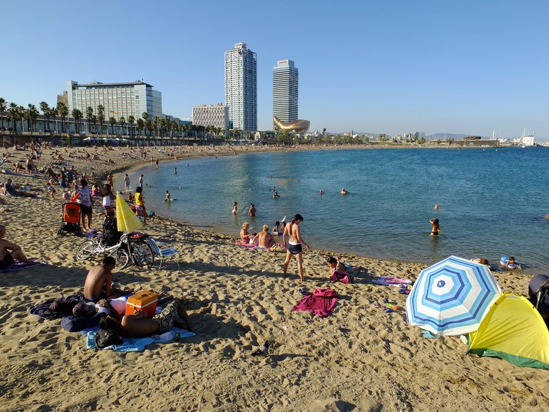 <div class='imageHoverDetail'>
             <p class='imageHoverTitle twoLineBreak'>Platja de la Barceloneta. Vista amb les Torres Mapfre i l'Hotel Arts al fons.</p>
             <p class='imageHoverAutor oneLineBreak'>Autor: Vicente Zambrano González</p>
             <button class='imageHoverBtn'>Mostra els detalls de la imatge <span class='sr-only'>Platja de la Barceloneta. Vista amb les Torres Mapfre i l'Hotel Arts al fons.</span></button>
             </div>