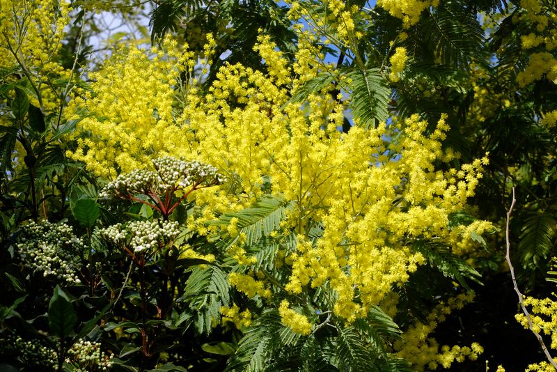 <div class='imageHoverDetail'>
             <p class='imageHoverTitle twoLineBreak'>Jardins de Mercè Rodoreda. Flors</p>
             <p class='imageHoverAutor oneLineBreak'>Autor: Vicente Zambrano González</p>
             <button class='imageHoverBtn'>Mostra els detalls de la imatge <span class='sr-only'>Jardins de Mercè Rodoreda. Flors</span></button>
             </div>