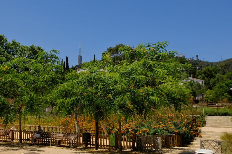 <div class='imageHoverDetail'>
             <p class='imageHoverTitle twoLineBreak'>Parc del Torrent Maduixer. Bancs i zona de jocs</p>
             <p class='imageHoverAutor oneLineBreak'>Autor: Vicente Zambrano González</p>
             <button class='imageHoverBtn'>Mostra els detalls de la imatge <span class='sr-only'>Parc del Torrent Maduixer. Bancs i zona de jocs</span></button>
             </div>