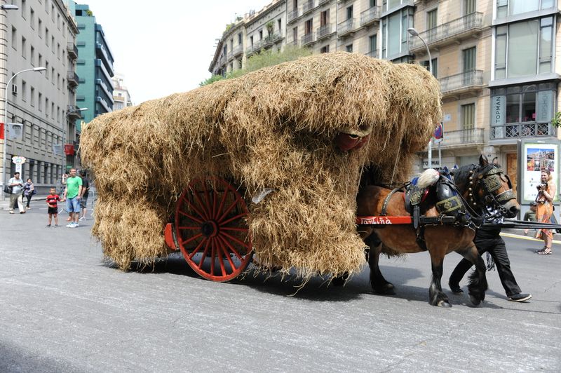 <div class='imageHoverDetail'>
             <p class='imageHoverTitle twoLineBreak'>17a Trobada Nacional de Tres Tombs. Desfilada pel carrer de Pelai</p>
             <p class='imageHoverAutor oneLineBreak'>Autor: Antonio Lajusticia Bueno</p>
             <button class='imageHoverBtn'>Mostra els detalls de la imatge <span class='sr-only'>17a Trobada Nacional de Tres Tombs. Desfilada pel carrer de Pelai</span></button>
             </div>