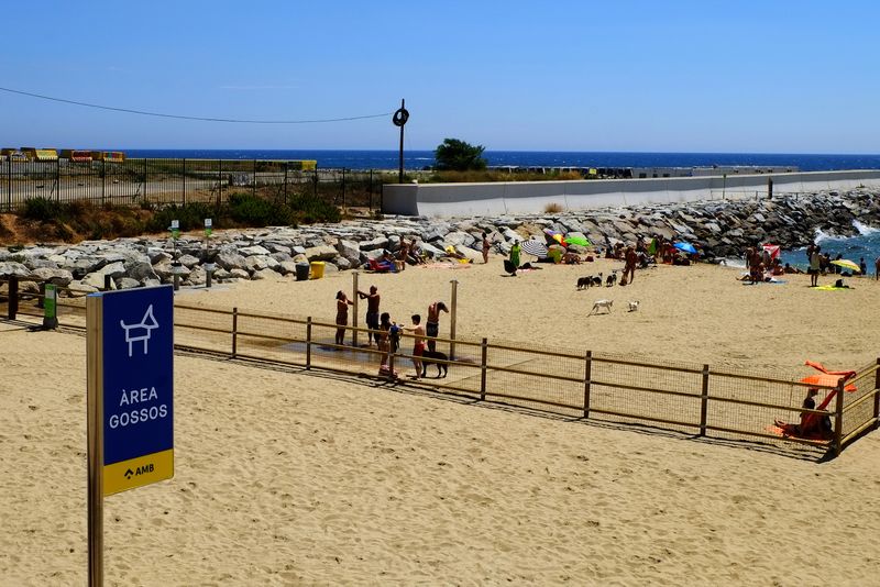 <div class='imageHoverDetail'>
             <p class='imageHoverTitle twoLineBreak'>Platja de Llevant amb gossos. Senyalització i delimitació de l'àrea</p>
             <p class='imageHoverAutor oneLineBreak'>Autor: Vicente Zambrano González</p>
             <button class='imageHoverBtn'>Mostra els detalls de la imatge <span class='sr-only'>Platja de Llevant amb gossos. Senyalització i delimitació de l'àrea</span></button>
             </div>