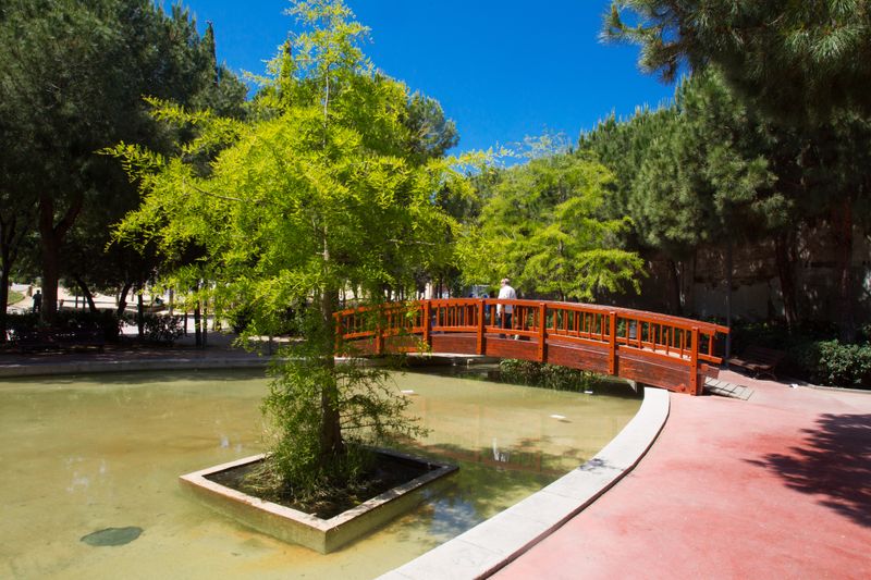 
             Jardins de la plaça de Can Fabra. Pont japonès
             Autor: Òscar Giralt
             Mostra els detalls de la imatge Jardins de la plaça de Can Fabra. Pont japonès
             