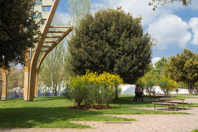 <div class='imageHoverDetail'>
             <p class='imageHoverTitle twoLineBreak'>Parc Central de Nou Barris</p>
             <p class='imageHoverAutor oneLineBreak'>Autor: Òscar Giralt</p>
             <button class='imageHoverBtn'>Mostra els detalls de la imatge <span class='sr-only'>Parc Central de Nou Barris</span></button>
             </div>