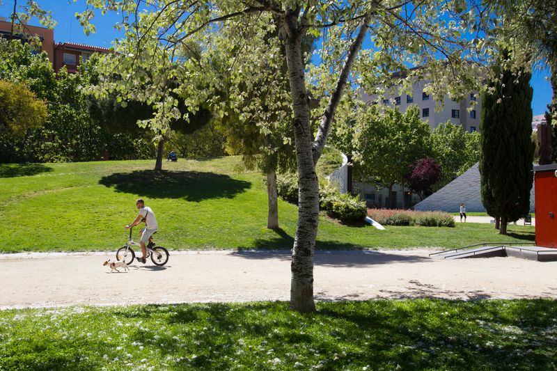 <div class='imageHoverDetail'>
             <p class='imageHoverTitle twoLineBreak'>Parc de l'Estació del Nord</p>
             <p class='imageHoverAutor oneLineBreak'>Autor: Òscar Giralt</p>
             <button class='imageHoverBtn'>Mostra els detalls de la imatge <span class='sr-only'>Parc de l'Estació del Nord</span></button>
             </div>