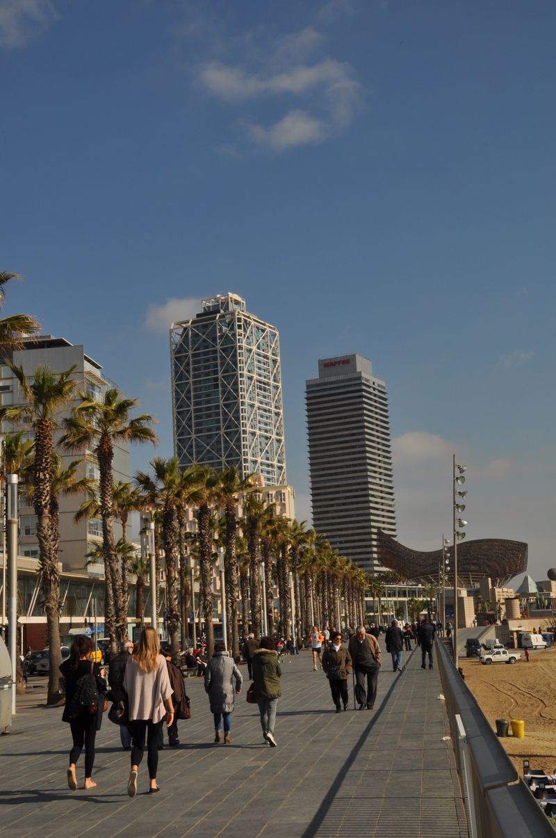 
             Passeig marítim de la Barceloneta
             Autor: Equip Audiovisuals
             Mostra els detalls de la imatge Passeig marítim de la Barceloneta
             