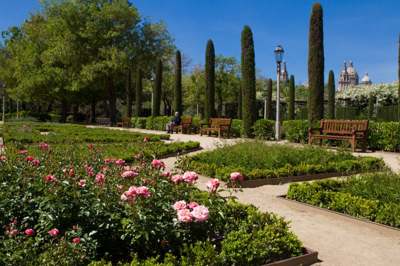 
             Jardins del Teatre Grec. Parterres de roses
             Autor: Òscar Giralt
             Mostra els detalls de la imatge Jardins del Teatre Grec. Parterres de roses
             