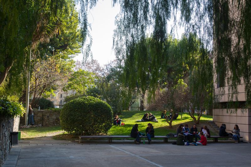 
             Jardins de la Universitat
             Autor: Òscar Giralt
             Mostra els detalls de la imatge Jardins de la Universitat
             