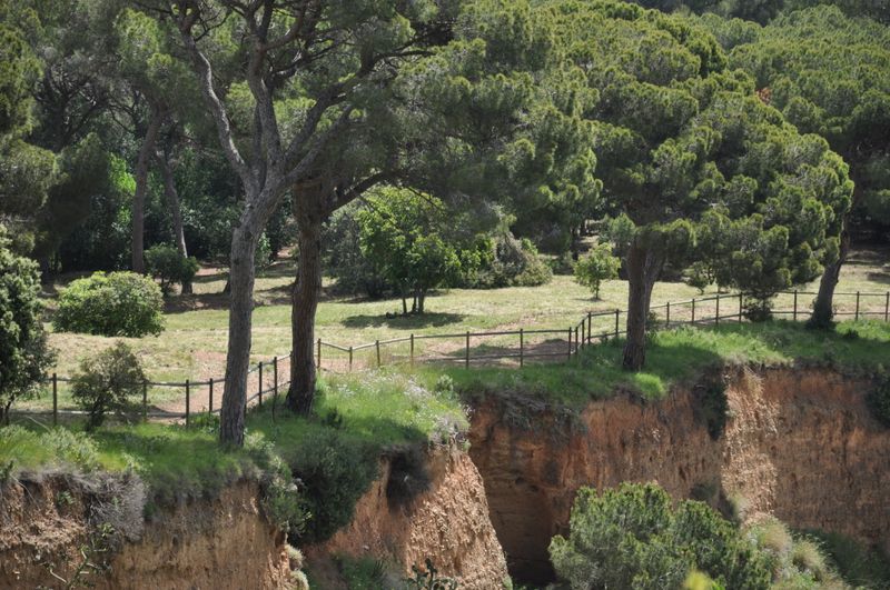 <div class='imageHoverDetail'>
             <p class='imageHoverTitle twoLineBreak'>Zones forestals de Collserola</p>
             <p class='imageHoverAutor oneLineBreak'>Autor: Equip Audiovisuals</p>
             <button class='imageHoverBtn'>Mostra els detalls de la imatge <span class='sr-only'>Zones forestals de Collserola</span></button>
             </div>