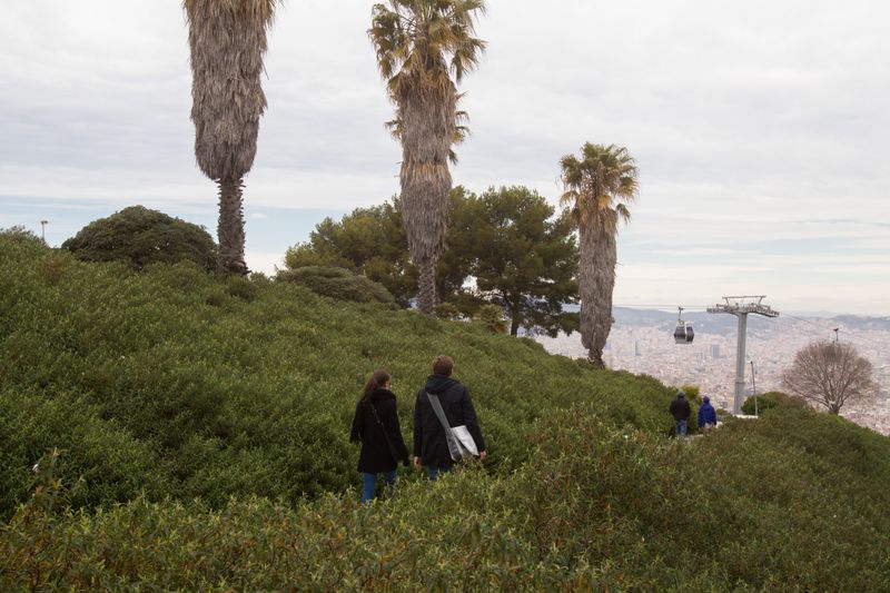 <div class='imageHoverDetail'>
             <p class='imageHoverTitle twoLineBreak'>Parc de Montjuïc. Camí entre la vegetació amb vistes de Barcelona</p>
             <p class='imageHoverAutor oneLineBreak'>Autor: Òscar Giralt</p>
             <button class='imageHoverBtn'>Mostra els detalls de la imatge <span class='sr-only'>Parc de Montjuïc. Camí entre la vegetació amb vistes de Barcelona</span></button>
             </div>