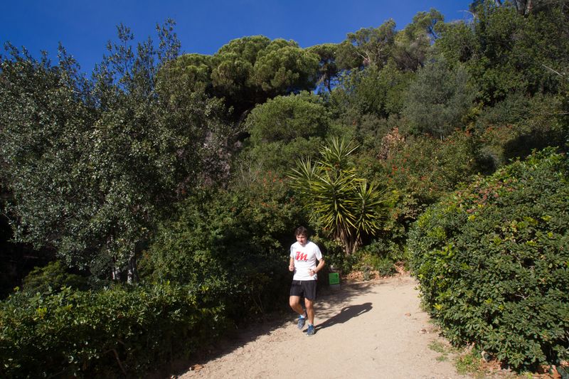 <div class='imageHoverDetail'>
             <p class='imageHoverTitle twoLineBreak'>Parc de la Font del Racó. Corredor</p>
             <p class='imageHoverAutor oneLineBreak'>Autor: Òscar Giralt</p>
             <button class='imageHoverBtn'>Mostra els detalls de la imatge <span class='sr-only'>Parc de la Font del Racó. Corredor</span></button>
             </div>