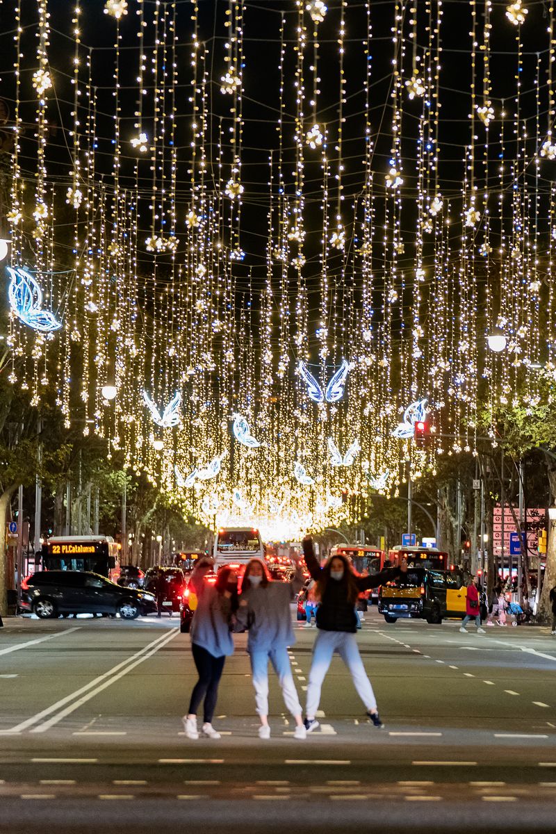 <div class='imageHoverDetail'>
             <p class='imageHoverTitle twoLineBreak'>Unes noies es fan una selfie amb el fons dels llums de Nadal del passeig de G...</p>
             <p class='imageHoverAutor oneLineBreak'>Autor: Laura Guerrero</p>
             <button class='imageHoverBtn'>Mostra els detalls de la imatge <span class='sr-only'>Unes noies es fan una selfie amb el fons dels llums de Nadal del passeig de G...</span></button>
             </div>