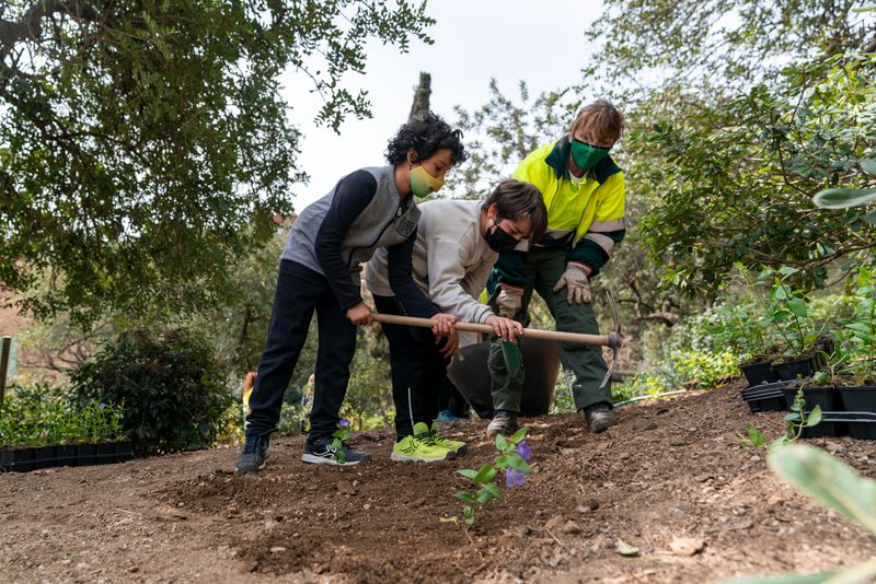 <div class='imageHoverDetail'>
             <p class='imageHoverTitle twoLineBreak'>Una jardinera vigila i guia uns nens que estan fent un forat amb un pic al te...</p>
             <p class='imageHoverAutor oneLineBreak'>Autor: Mariona Gil</p>
             <button class='imageHoverBtn'>Mostra els detalls de la imatge <span class='sr-only'>Una jardinera vigila i guia uns nens que estan fent un forat amb un pic al te...</span></button>
             </div>