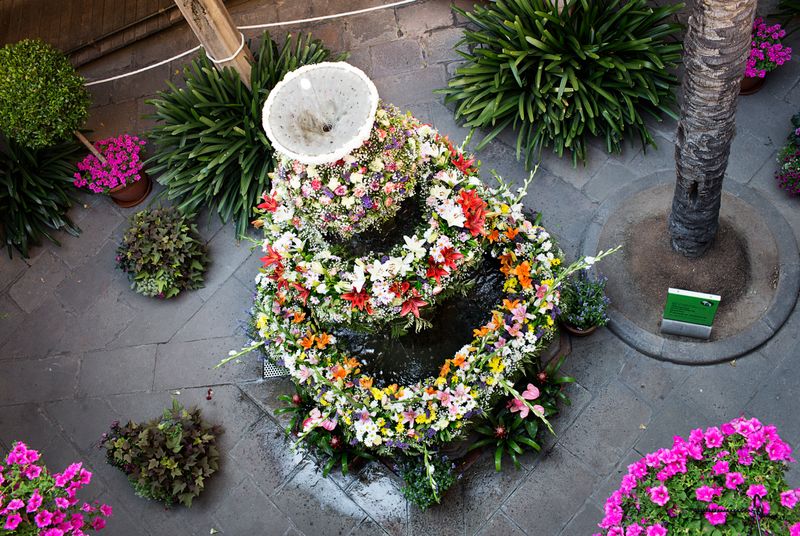 <div class='imageHoverDetail'>
             <p class='imageHoverTitle twoLineBreak'>Ou com balla</p>
             <p class='imageHoverAutor oneLineBreak'>Autor: Paola de Grenet</p>
             <button class='imageHoverBtn'>Mostra els detalls de la imatge <span class='sr-only'>Ou com balla</span></button>
             </div>