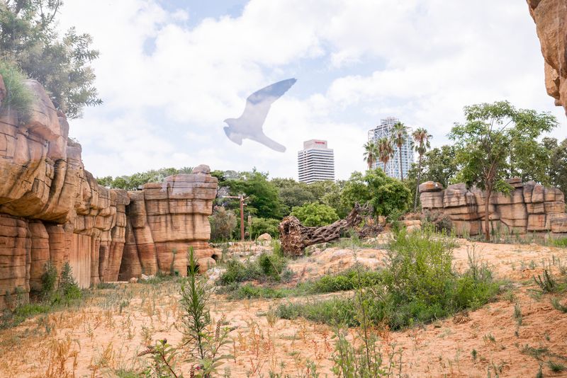 <div class='imageHoverDetail'>
             <p class='imageHoverTitle twoLineBreak'>Vista general de l’hàbitat de la sabana del Sahel del Zoo de Barcelona</p>
             <p class='imageHoverAutor oneLineBreak'>Autor: Martí Petit</p>
             <button class='imageHoverBtn'>Mostra els detalls de la imatge <span class='sr-only'>Vista general de l’hàbitat de la sabana del Sahel del Zoo de Barcelona</span></button>
             </div>