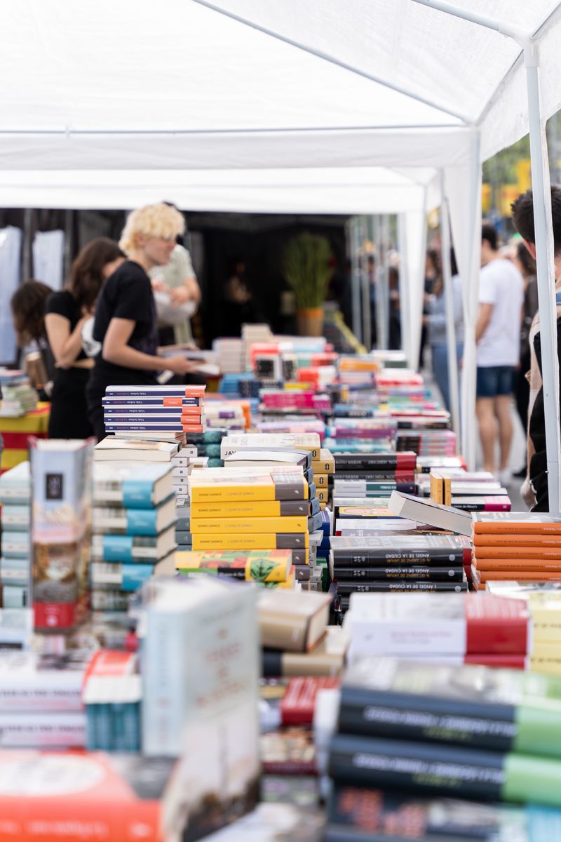 <div class='imageHoverDetail'>
             <p class='imageHoverTitle twoLineBreak'>Uns llibreters atenen els visitants de la seva parada instal·lada al passeig ...</p>
             <p class='imageHoverAutor oneLineBreak'>Autor: Mònica Moreno</p>
             <button class='imageHoverBtn'>Mostra els detalls de la imatge <span class='sr-only'>Uns llibreters atenen els visitants de la seva parada instal·lada al passeig ...</span></button>
             </div>