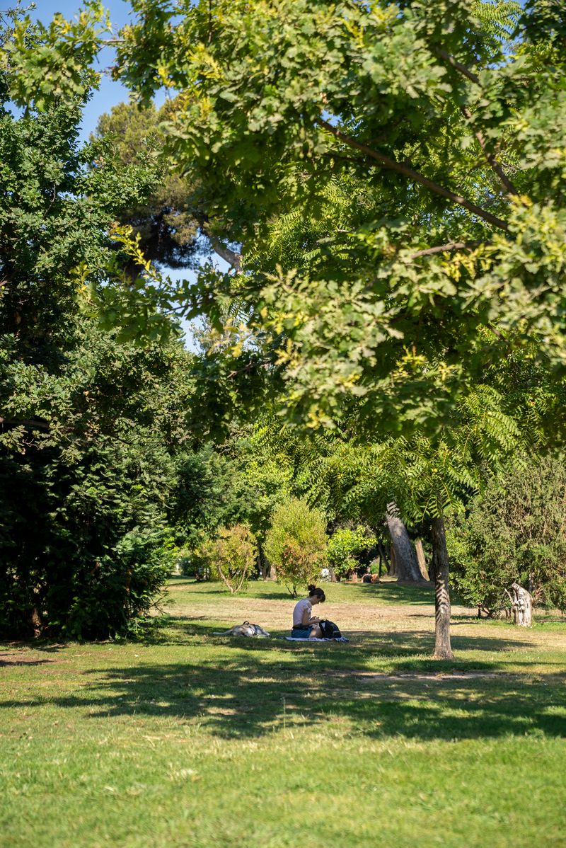 <div class='imageHoverDetail'>
             <p class='imageHoverTitle twoLineBreak'>Una dona seu a la gespa sota l'ombra d'un arbre al parc de la Ciutadella ment...</p>
             <p class='imageHoverAutor oneLineBreak'>Autor: Mariona Gil</p>
             <button class='imageHoverBtn'>Mostra els detalls de la imatge <span class='sr-only'>Una dona seu a la gespa sota l'ombra d'un arbre al parc de la Ciutadella ment...</span></button>
             </div>